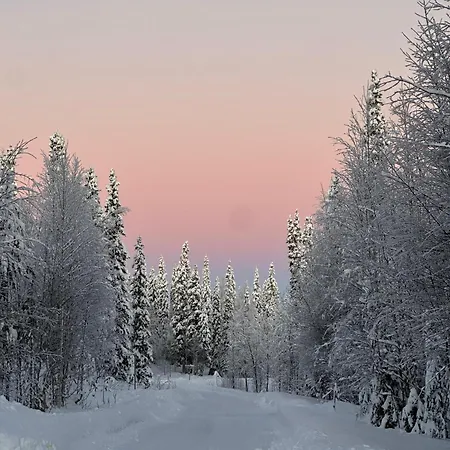 Dağ evi Luoston Lustitupa 3 *