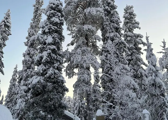 Luoston Lustitupa 3 Lomamökit