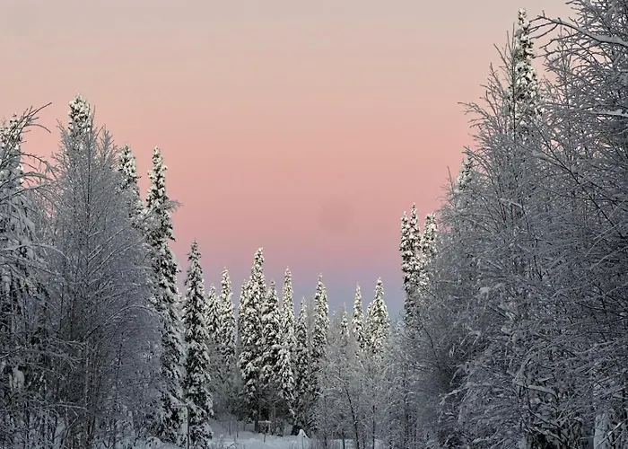 Lomamökit Luoston Lustitupa 3 *